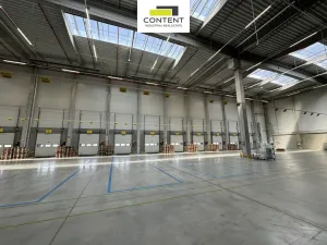 Pronájem výrobních prostor, Linhartice, 11000 m2