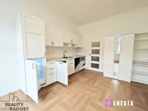 Pronájem bytu 1+kk, Praha - Vinohrady, Perunova, 27 m2