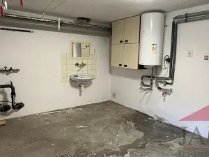 Pronájem rodinného domu, Hartmanice, 90 m2