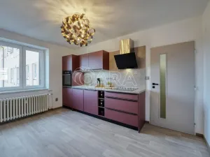Prodej bytu 2+1, Strakonice - Strakonice I, Mikoláše Alše, 60 m2