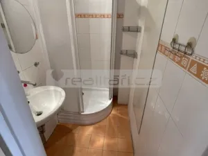 Pronájem bytu 2+1, Plzeň - Jižní Předměstí, Koželužská, 70 m2