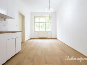 Pronájem bytu 2+kk, Praha - Vysočany, Prouzova, 52 m2