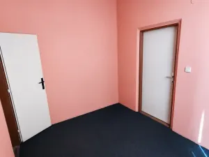 Pronájem obchodního prostoru, Hradec Králové, Panelová, 150 m2