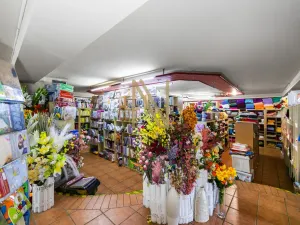 Pronájem obchodního prostoru, Domažlice - Dolejší Předměstí, Husova třída, 140 m2