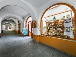 Pronájem obchodního prostoru, Domažlice - Dolejší Předměstí, Husova třída, 140 m2