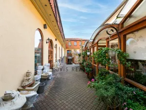 Pronájem obchodního prostoru, Domažlice - Dolejší Předměstí, Husova třída, 140 m2