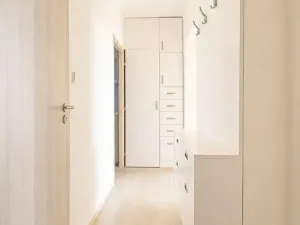 Prodej bytu 3+1, Horní Moštěnice, Pod Vinohrady, 63 m2