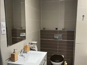 Prodej bytu 2+kk, Praha - Letňany, Hlučkova, 61 m2