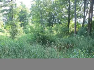 Prodej pozemku, Staré Buky, 154 m2
