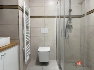 Pronájem bytu 2+kk, Opava - Předměstí, Mánesova, 41 m2