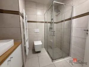 Pronájem bytu 2+kk, Opava - Předměstí, Mánesova, 41 m2
