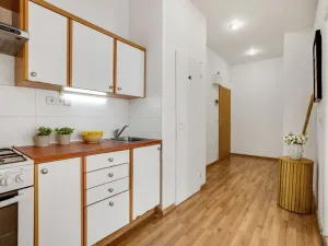 Prodej bytu 2+kk, Praha - Holešovice, Na Maninách, 57 m2