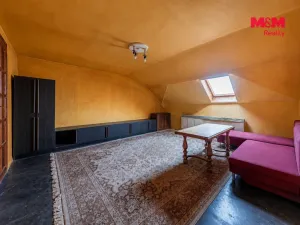 Prodej obchodního prostoru, Týnec nad Labem, Havlíčkova, 207 m2