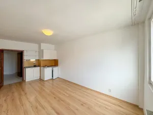 Pronájem bytu 1+kk, Praha - Vinohrady, Římská, 25 m2