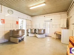 Prodej výrobních prostor, Ostrava - Mariánské Hory, Daliborova, 642 m2