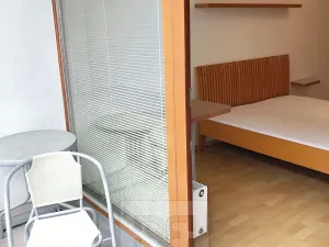 Pronájem bytu 2+kk, Praha - Žižkov, Budovcova, 60 m2