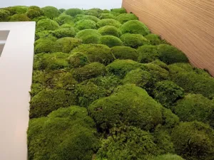 Prodej bytu 3+kk, Praha - Bubeneč, Na výšinách, 113 m2