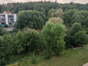 Pronájem bytu 1+1, Luhačovice, 35 m2