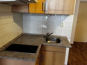 Pronájem bytu 1+kk, Praha - Vinohrady, Řipská, 46 m2