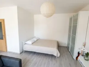 Prodej bytu 1+kk, Praha - Modřany, Pískařská, 38 m2
