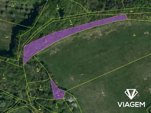 Prodej podílu lesa, Bohuslavice nad Vláří, 1301 m2