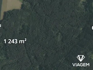 Prodej lesa, Římov, 1365 m2