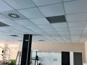 Pronájem obchodního prostoru, Opava, Jaselská, 300 m2