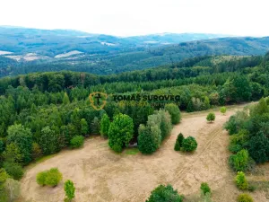 Prodej chaty, Kašava, 52 m2