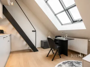 Prodej bytu 1+kk, Praha - Karlín, Prvního pluku, 49 m2