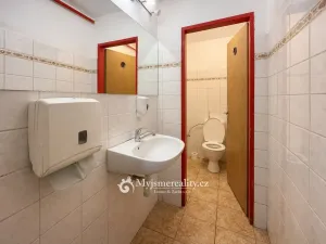 Prodej obchodního prostoru, Znojmo, Havlíčkova, 95 m2