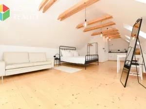 Pronájem bytu 1+kk, Hudlice, Jungmannova, 35 m2