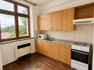Pronájem bytu 1+1, Chomutov, Lidická, 36 m2