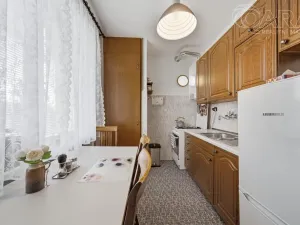 Prodej bytu 2+1, Vyškov - Vyškov-Předměstí, Hybešova, 55 m2