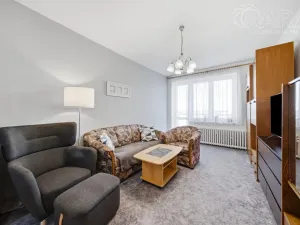 Prodej bytu 2+1, Vyškov - Vyškov-Předměstí, Hybešova, 55 m2