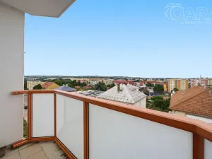 Prodej bytu 2+1, Vyškov - Vyškov-Předměstí, Hybešova, 55 m2