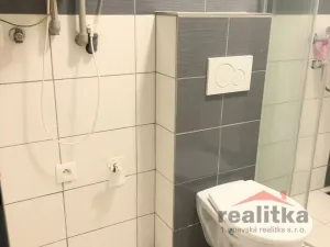 Pronájem bytu 1+kk, Litultovice, 30 m2