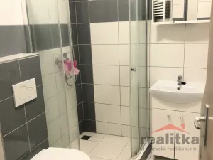 Pronájem bytu 1+kk, Litultovice, 30 m2