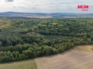 Prodej lesa, Plzeň - Červený Hrádek, 6522 m2