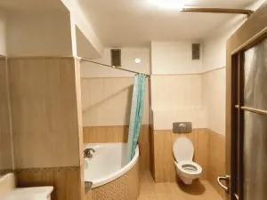 Pronájem bytu 2+kk, Plzeň - Jižní Předměstí, Čechova, 63 m2