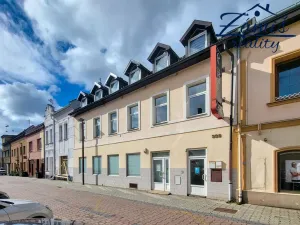 Prodej činžovního domu, Kladno, Žižkova, 400 m2