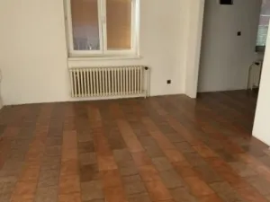 Prodej rodinného domu, Srbsko, Hrašov, 300 m2