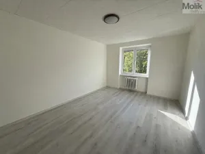 Pronájem bytu 2+1, Litvínov - Horní Litvínov, Vrchlického, 57 m2