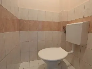 Prodej rodinného domu, Přerov - Přerov I-Město, Kosmákova, 200 m2