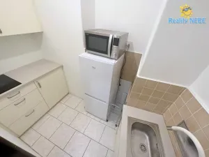 Pronájem bytu 1+kk, Praha - Žižkov, Baranova, 28 m2