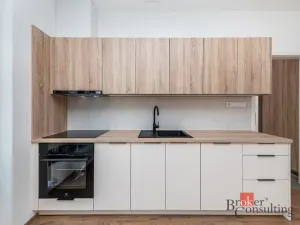 Pronájem bytu 1+kk, Plzeň - Jižní Předměstí, Železná, 38 m2