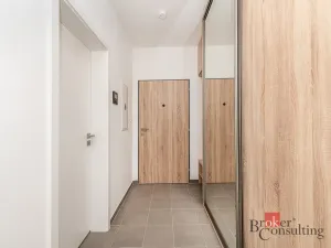 Pronájem bytu 1+kk, Plzeň - Jižní Předměstí, Železná, 38 m2