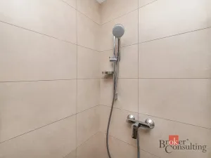 Pronájem bytu 1+kk, Plzeň - Jižní Předměstí, Železná, 38 m2