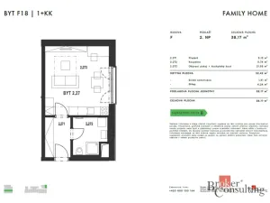 Pronájem bytu 1+kk, Plzeň - Jižní Předměstí, Železná, 38 m2