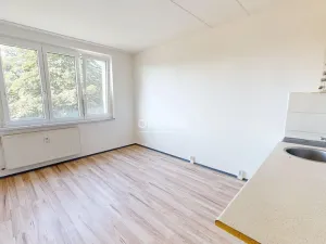 Prodej bytu 1+1, Chomutov, Kamenná, 34 m2