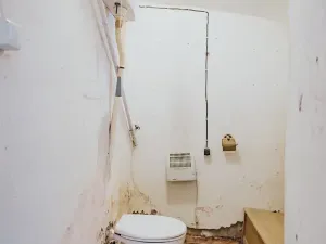 Prodej rodinného domu, Dlouhá Loučka, 192 m2